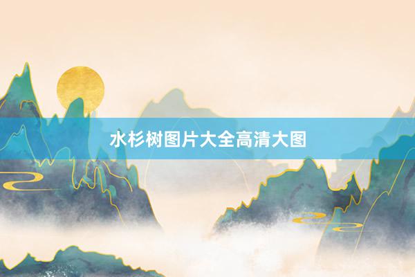 水杉树图片大全高清大图