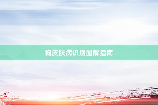 狗皮肤病识别图解指南