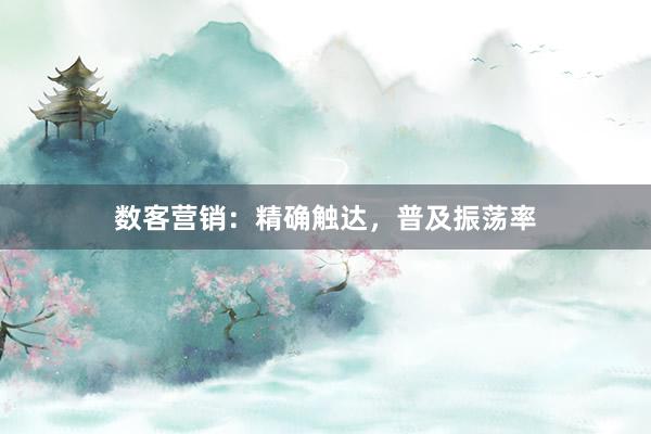 数客营销:精确触达,普及振荡率